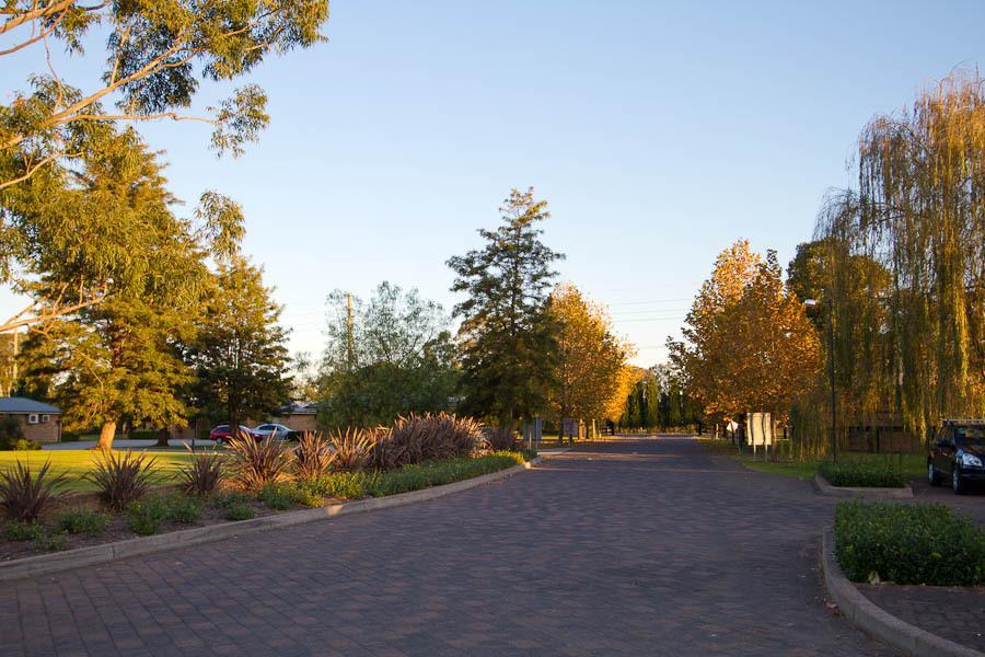 Potters Apartments Cessnock Dış mekan fotoğraf