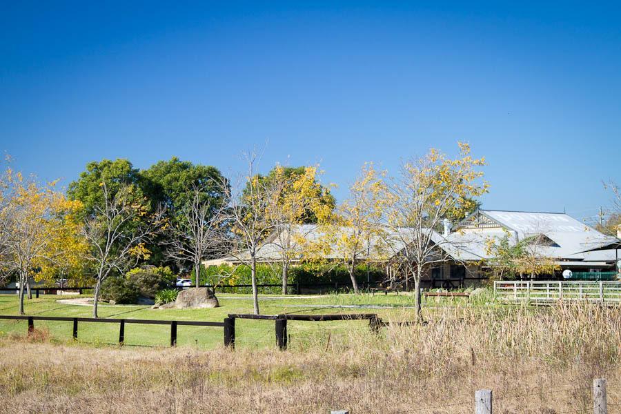 Potters Apartments Cessnock Dış mekan fotoğraf
